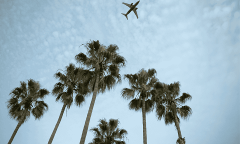 Blog